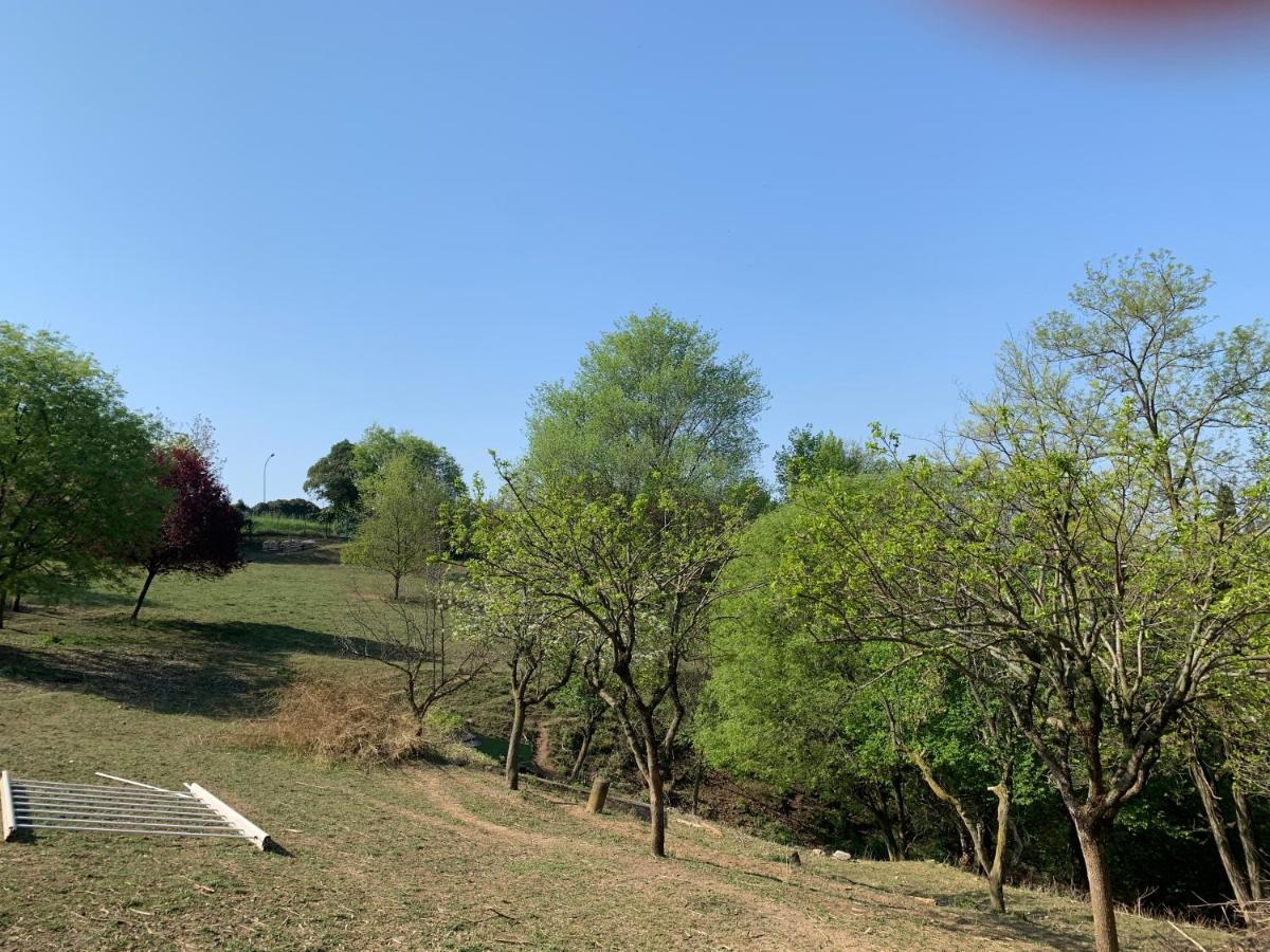 Villa Isidoro Ampio Parco ,Piscina Privata, Arte E Giochi , Fitness Verona Dış mekan fotoğraf